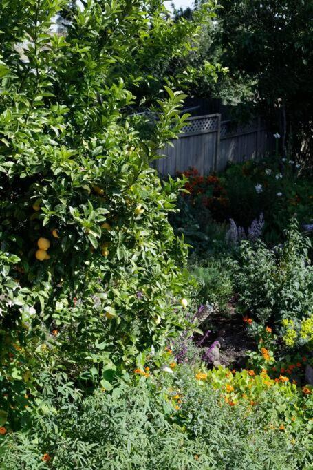 אוקלנד Beautiful, Historic Family Home Near Lake Merritt מראה חיצוני תמונה